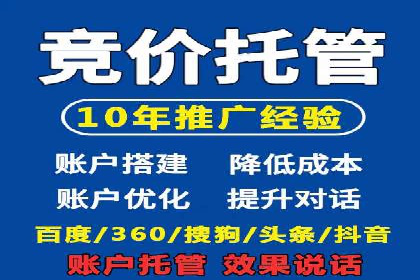 揭秘百度竞价排名：实战案例解析