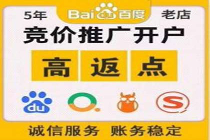 百度竞价SEM成功案例：揭秘广告投放秘诀